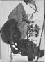 Field Museum photo negatives collection; Genève specimen of Gesneria polyantha DC., BRAZIL, C. Gaudichaud-Beaupré 182, Type [status unknown], G-DC