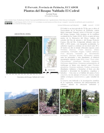 Plantas da Floresta Nublada El Cedral