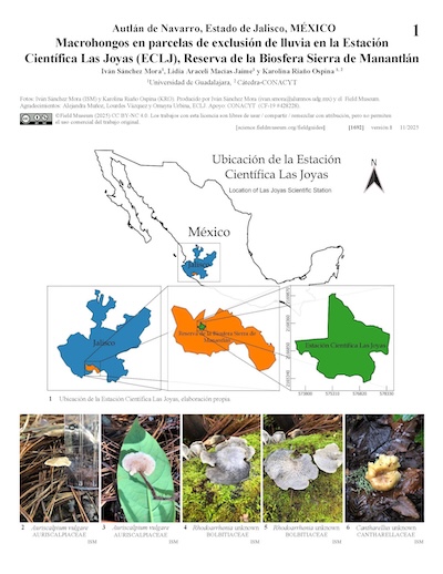 Macrofungos em parcelas de exclusão de chuva na Estação Científica Las Joyas (ECLJ), Reserva da Biosfera Sierra de Manantlán