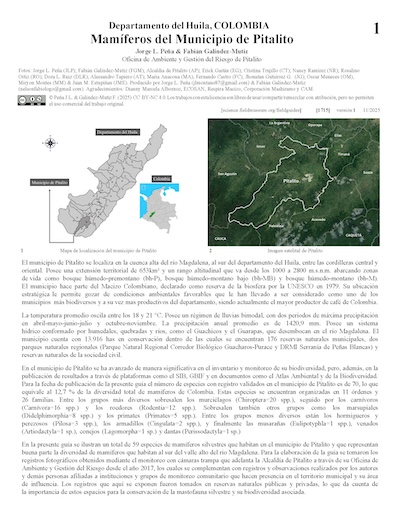 Mammals of the Municipality of Pitalito