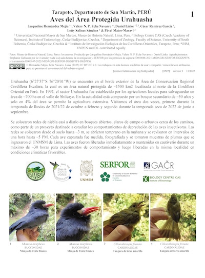 Aves del Área Protegida de Urahuasha