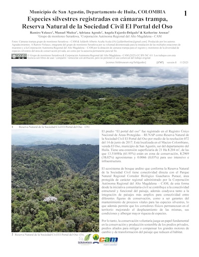 Wild species recorded on camera traps, El Portal del Oso Civil Society Nature Reserve