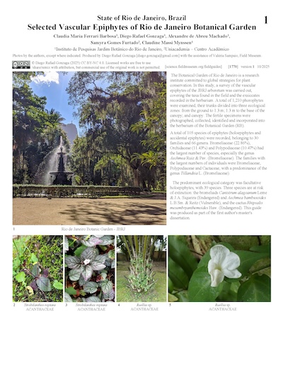 Selected Vascular Epiphytes of Rio de Janeiro Botanical Garden