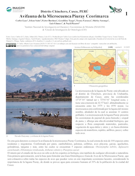 Avifauna da Microbacia Piuray Ccorimarca