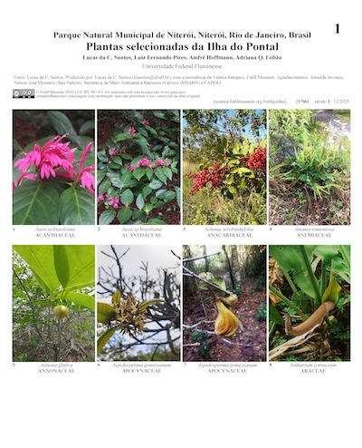Plantas selecionadas da Ilha do Pontal