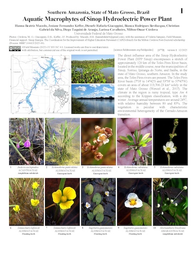 Macrófitas aquáticas da usina hidrelétrica de Sinop