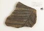 Asterotheca miltonii, Middle Pennsylvanian, Carbondale Fm, Francis Creek Shale Mbr, USA, IL, Mazon Creek Region