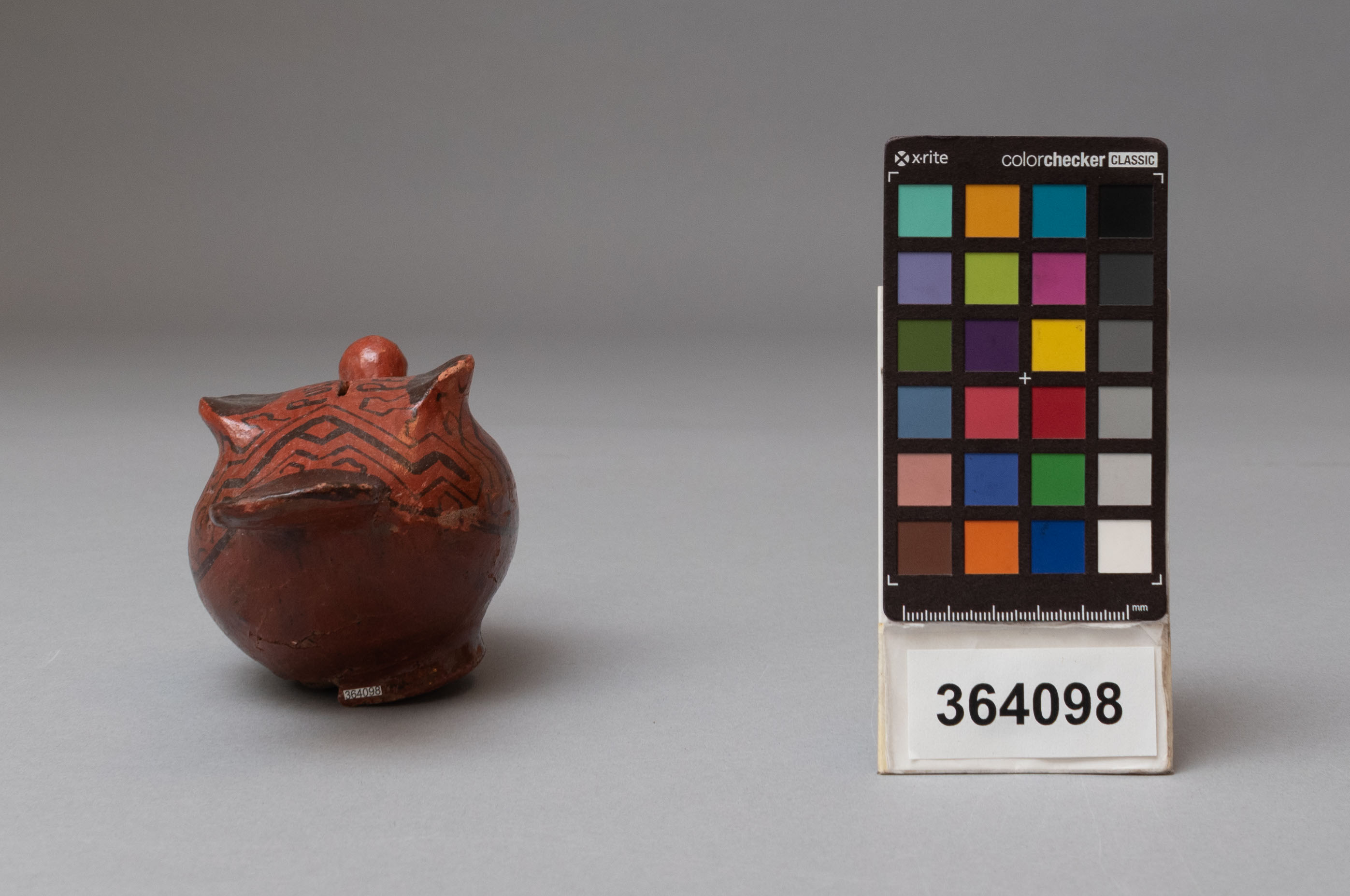 reference image, back view