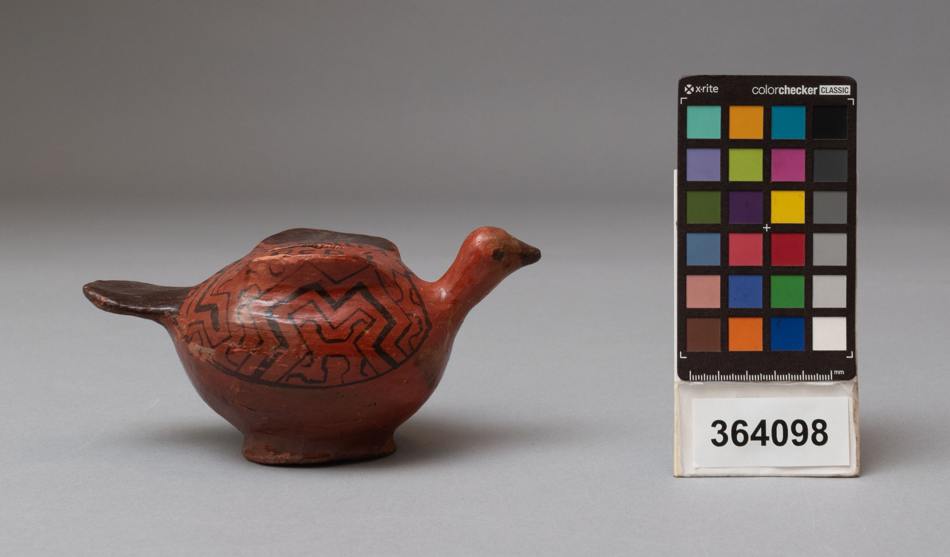 reference image, proper right side view