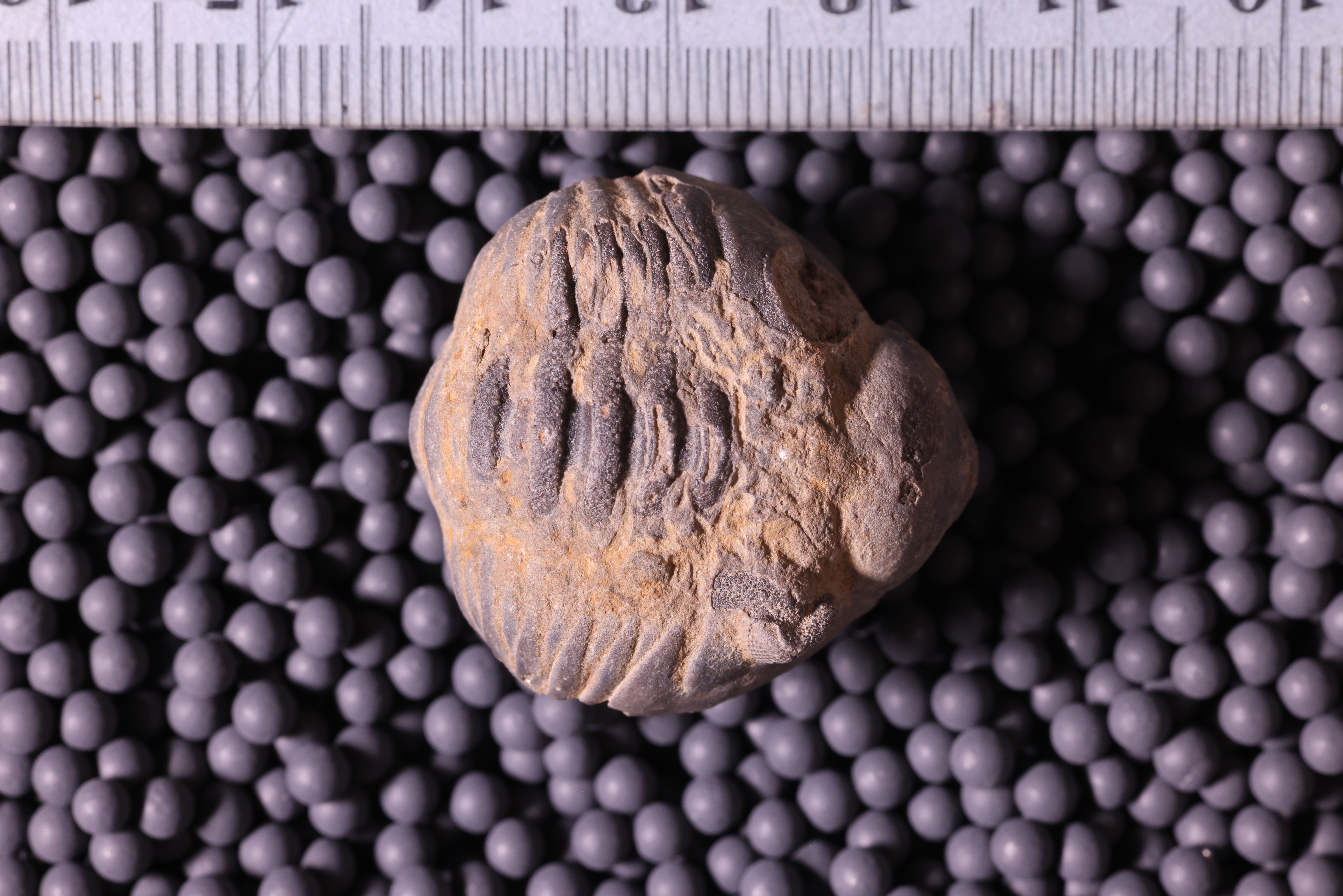 Media | Geology Collections