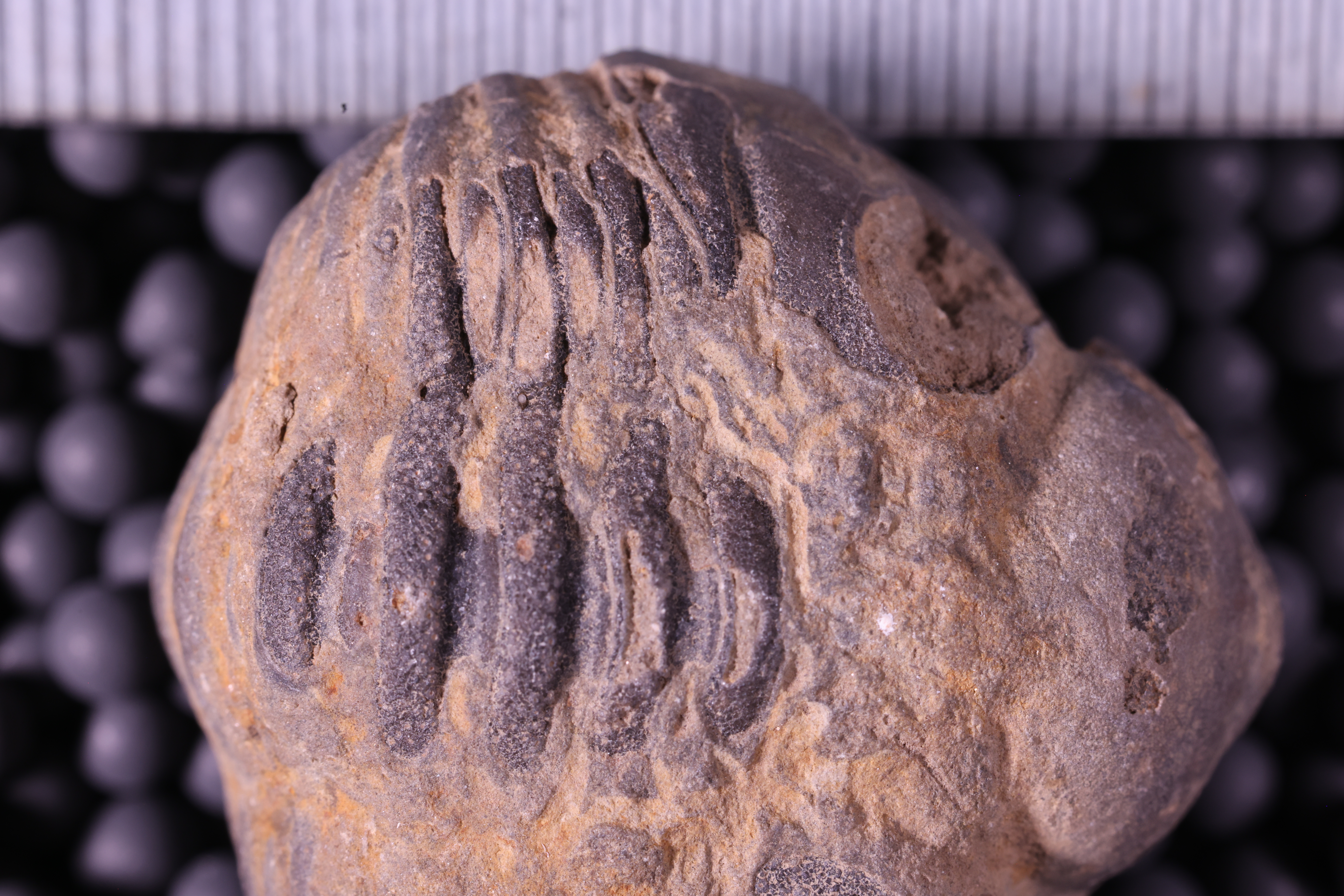 Media | Geology Collections