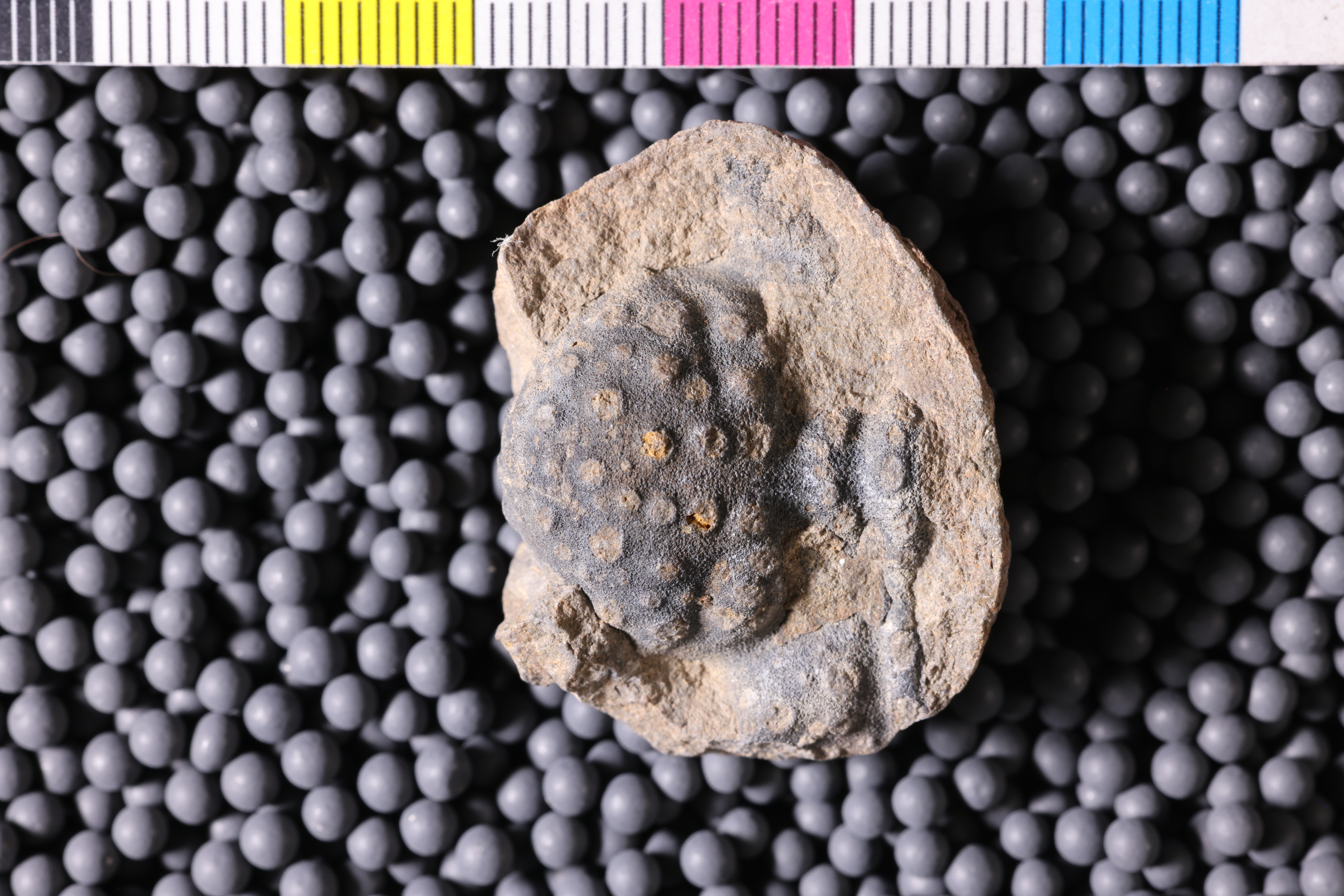 Media | Geology Collections