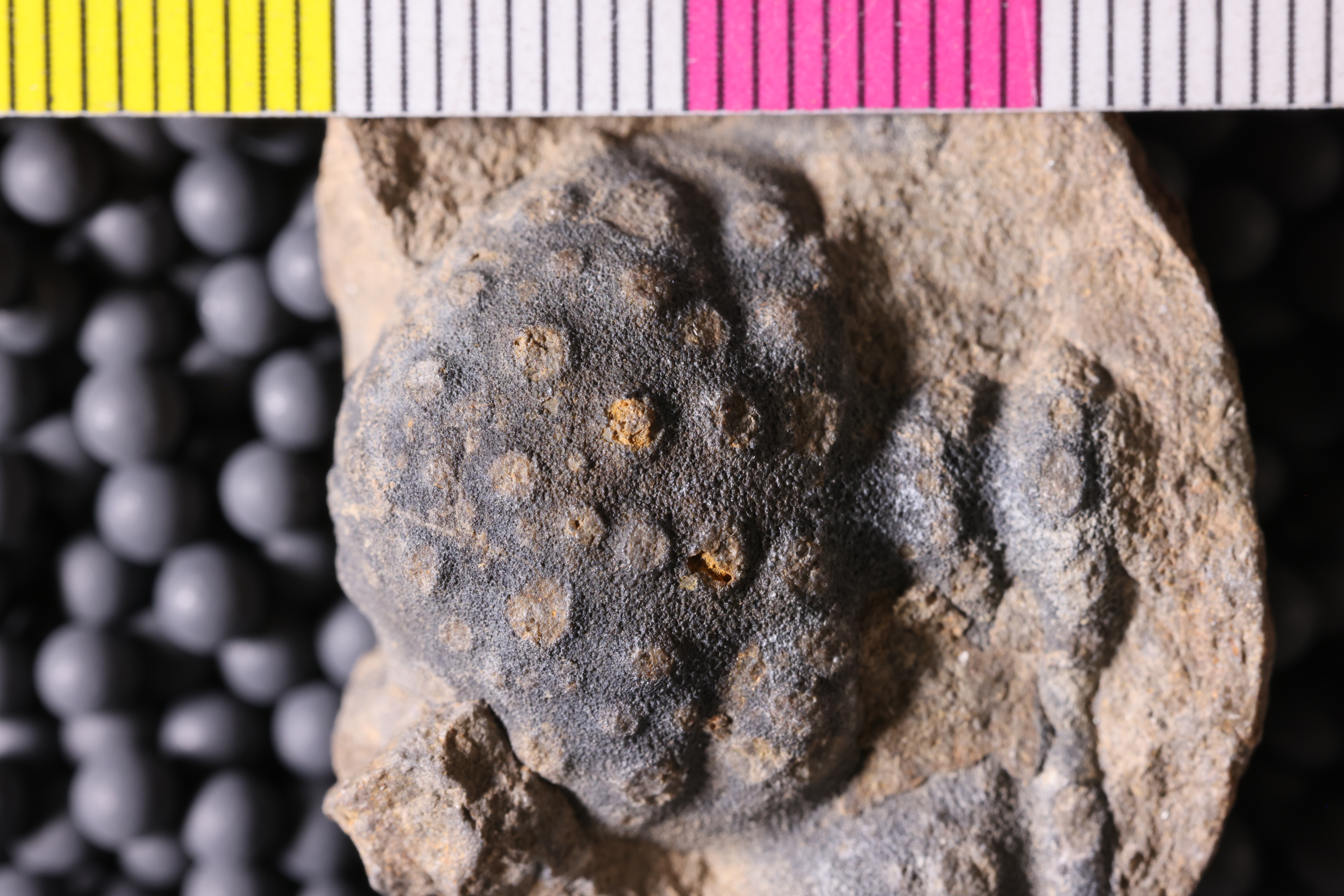 Media | Geology Collections