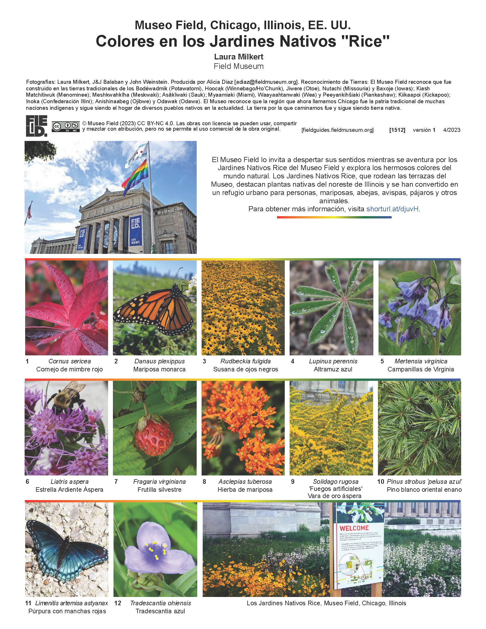 Colores en los Jardines Nativos "Rice"