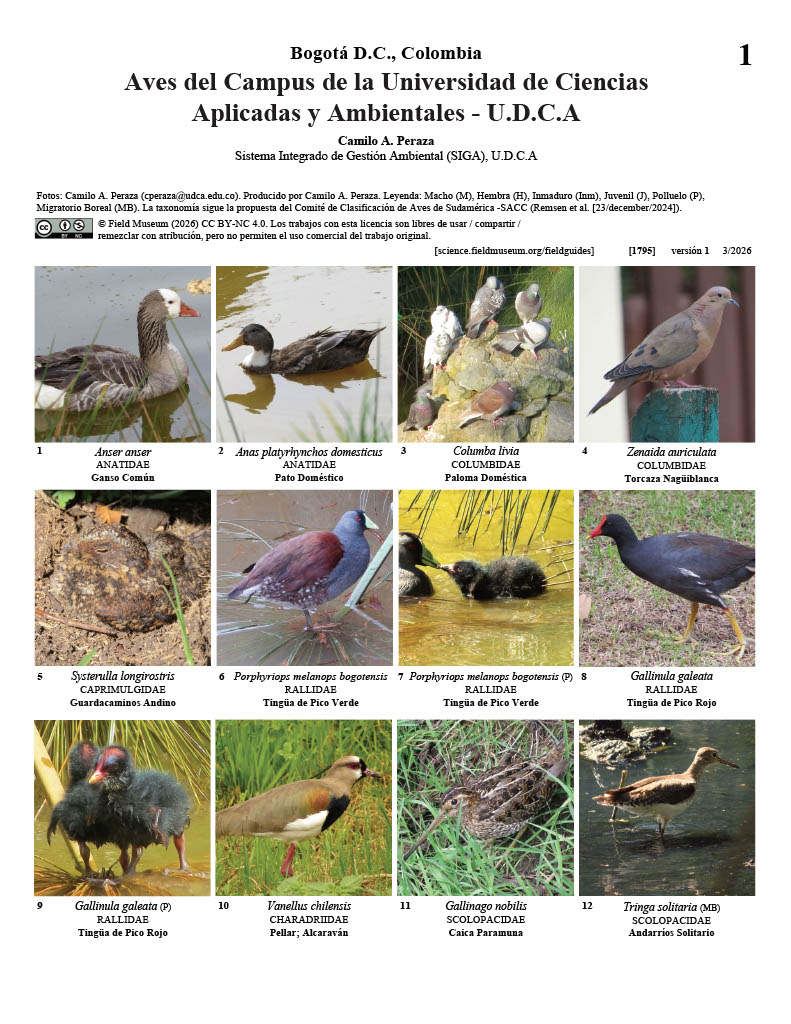Aves del Campus de la Universidad de Ciencias Aplicadas y Ambientales (U.D.C.A)