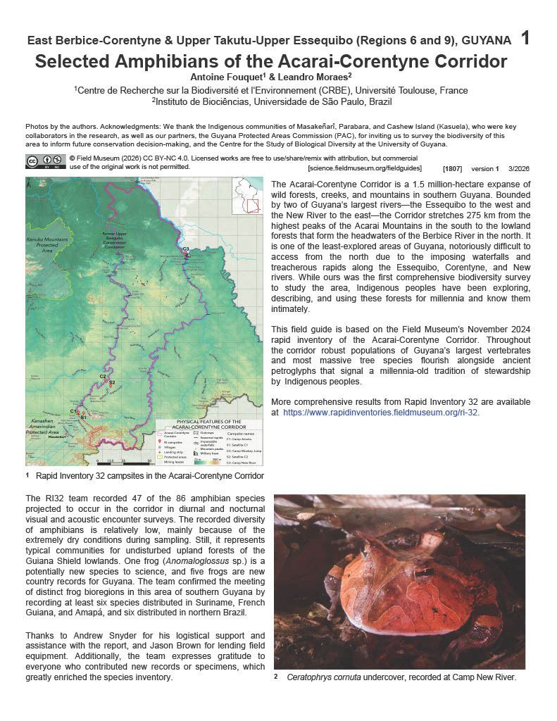 Selected Amphibians of the Acarai-Corentyne Corridor