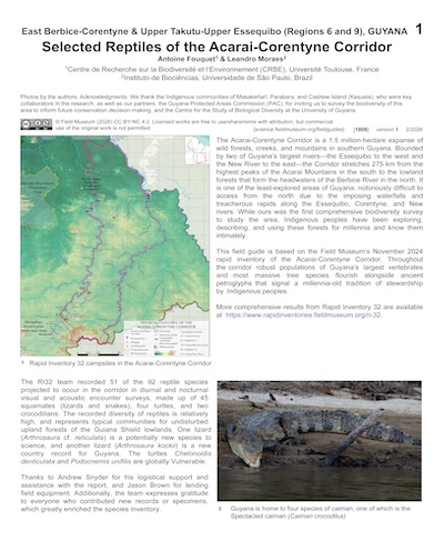Selected Reptiles of the Acarai-Corentyne Corridor