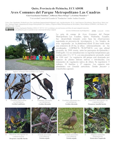 Aves Comunes do Parque Metropolitano Las Cuadras