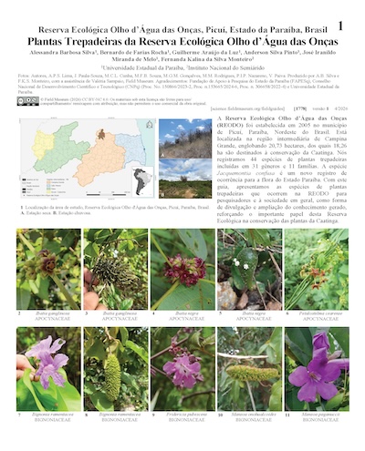 Plantas Trepadoras de la Reserva Ecológica Olho d’Água das Onças