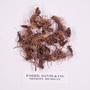 funded by Rob Gordon: Chamaelirium luteum (L.) Gray, True Unicorn Root, U.S.A., F