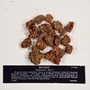 funded by Rob Gordon: Balsamodendrum myrrha T. Nees, Myrrh, F
