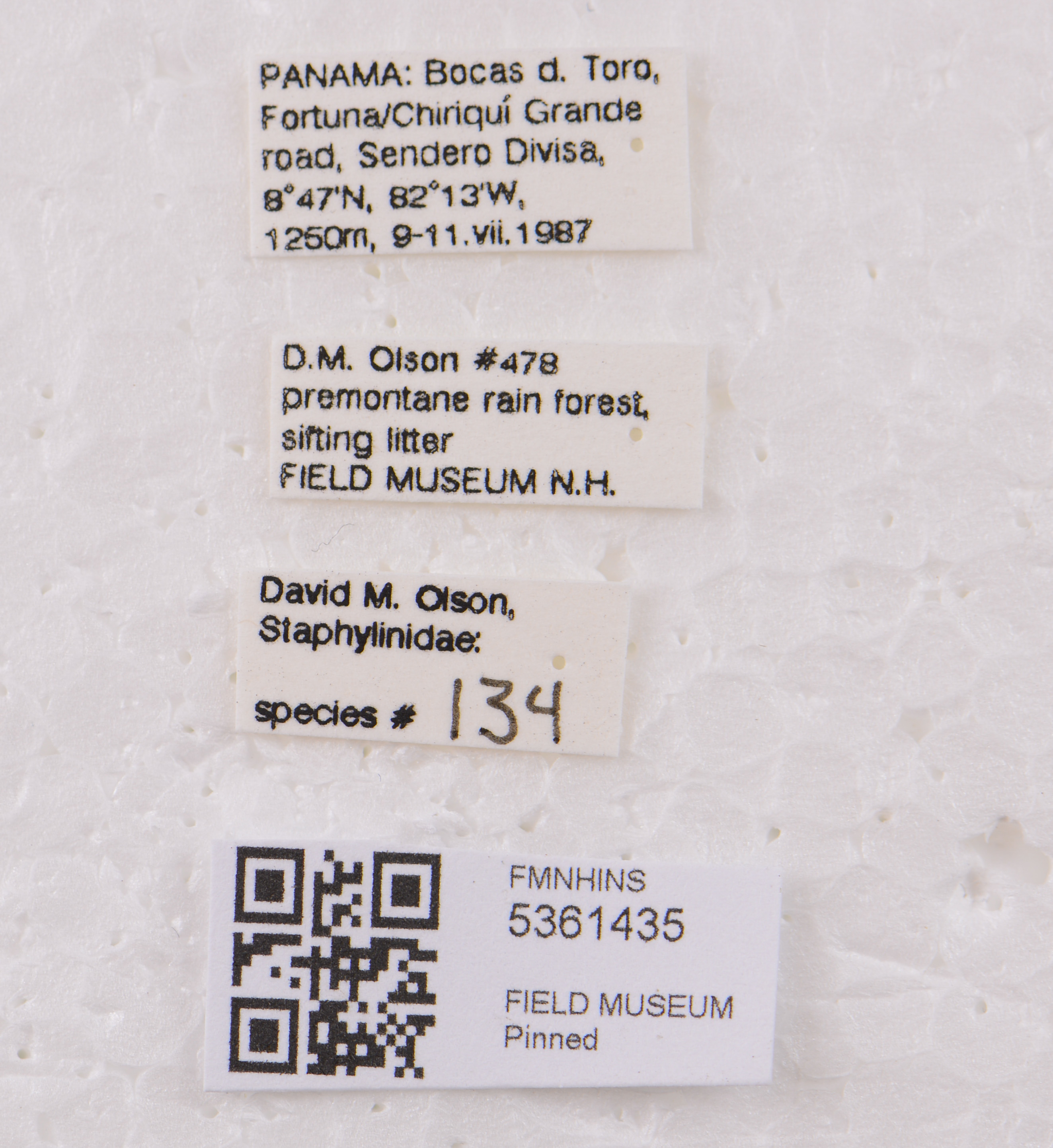 5361435 Medonina labels IN 5361435 Medonina labels IN