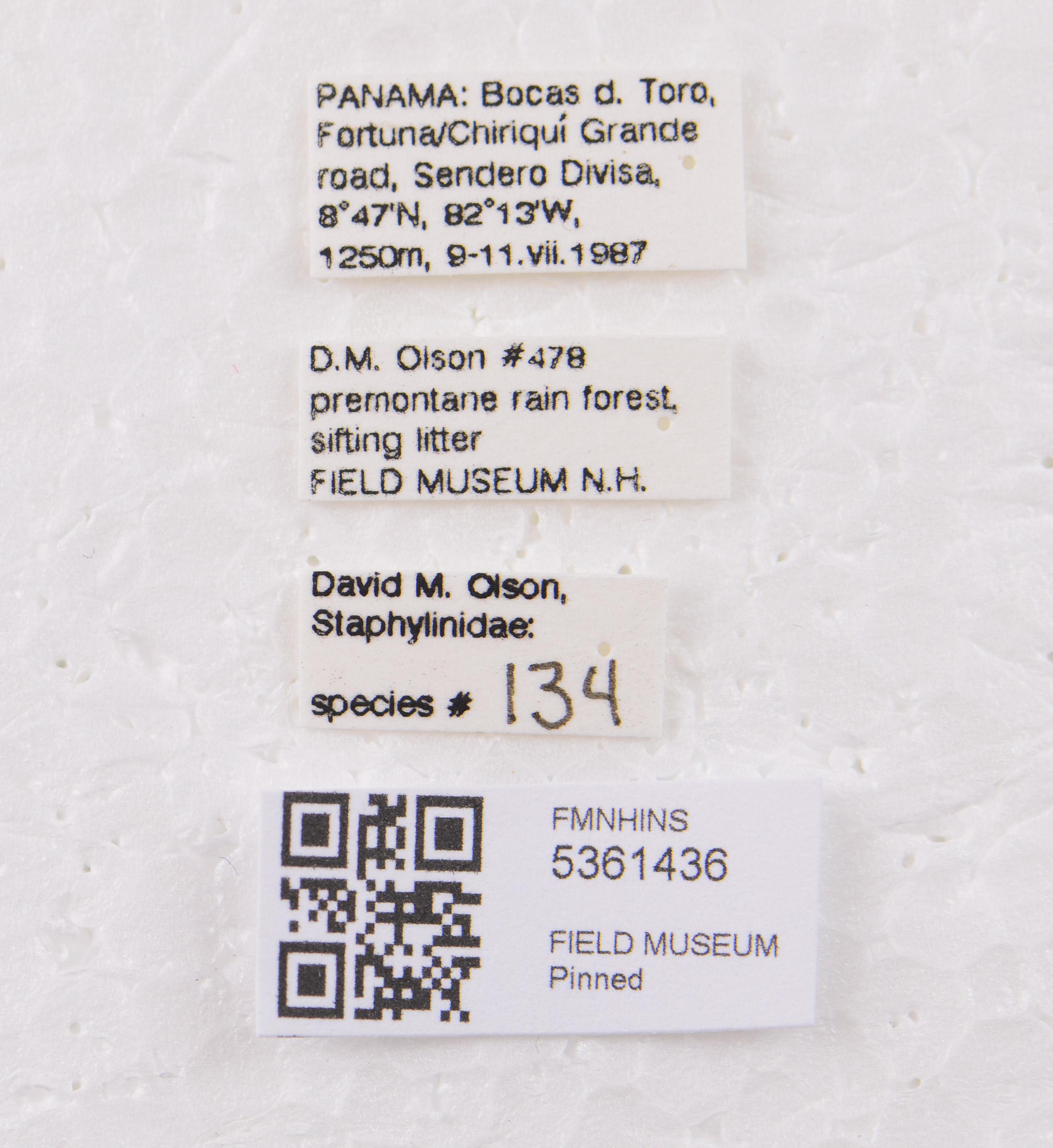5361436 Medonina labels IN 5361436 Medonina labels IN