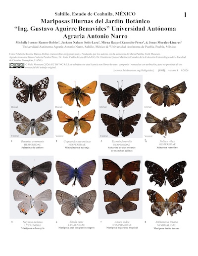 Diurnal Butterflies of the “Ing. Gustavo Aguirre Benavides” Botanical Garden