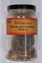 funded by Rob Gordon: Ferula galbaniflua Boiss. & Buhse, Galbanum, Persia [Iran], 48, F