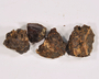 Balsamodendrum myrrha T. Nees, Myrrh, Palestine, F