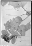 Field Museum photo negatives collection; Genève specimen of Waltheria lantanaefolia A. St.-Hil. & Naudin, BRAZIL, J. S. Blanchet 1677, Type [status unknown], G
