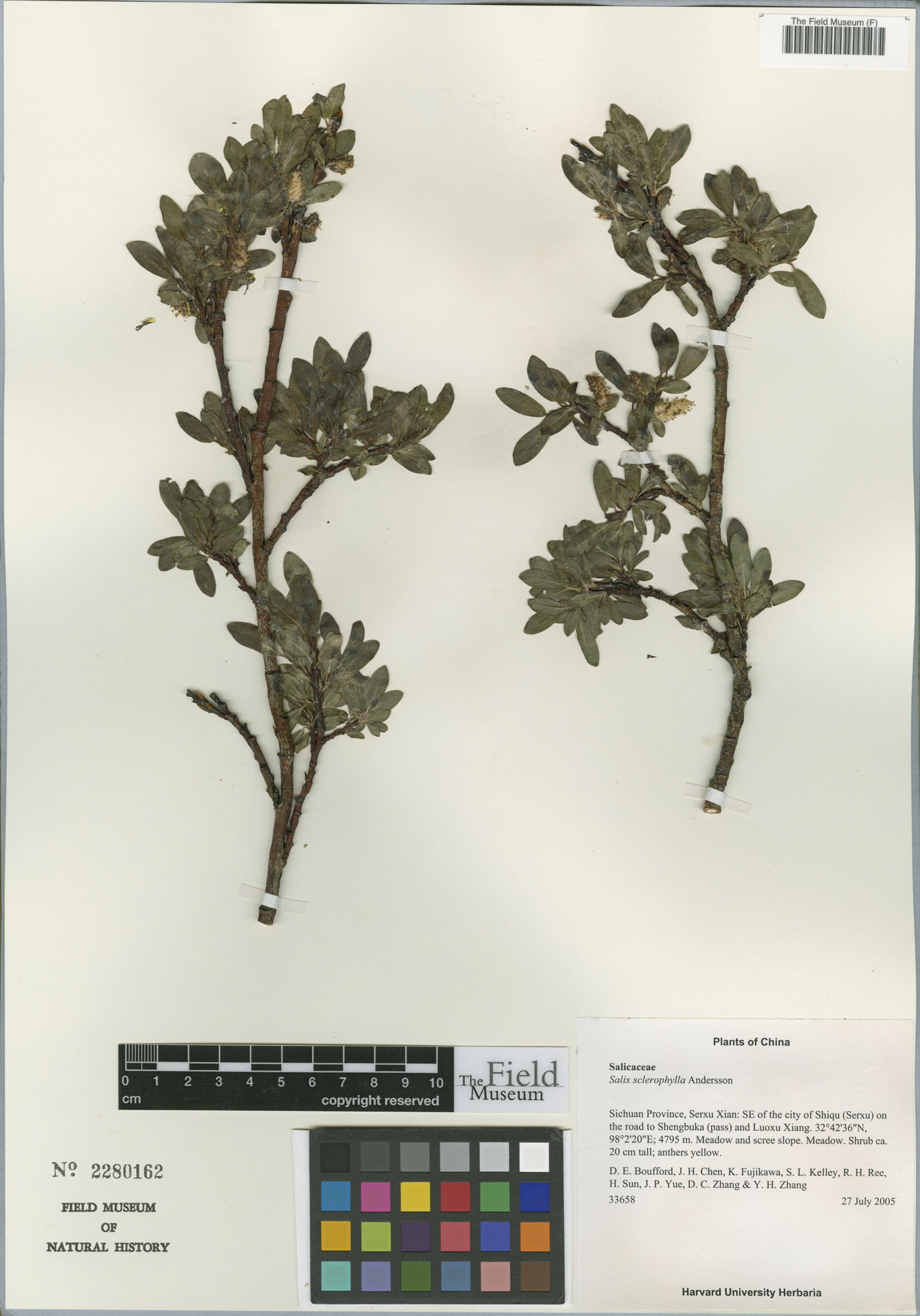 Catalogue | Botanical Collections Catalogue | Botanical Collections