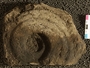 UC 38576