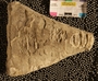 UC 15798