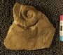 UC 22964
