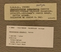 P 28862 Label