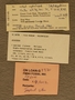 PE 28738 Label
