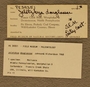 PE 39351 Label