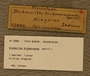 UC 22860 Label