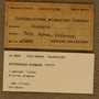 UC 23805 Label