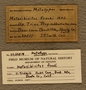UC 32517 Label