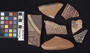 169833 clay (ceramic) vessel fragments (sherds)