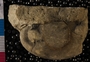 P8508_fossil2