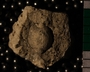 P8913_fossil