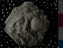 P8925_fossil