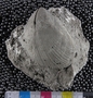 UC7365_fossil5