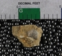 UC33465_fossil