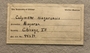 UC44271_label