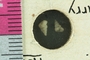 UC46085_fossil