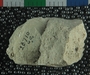 UC28710_fossil